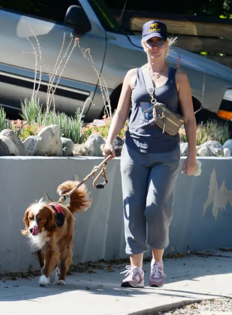 Anna Camp Enjoys a Leisurely Dog Walk in Los Angeles 08-16-2025