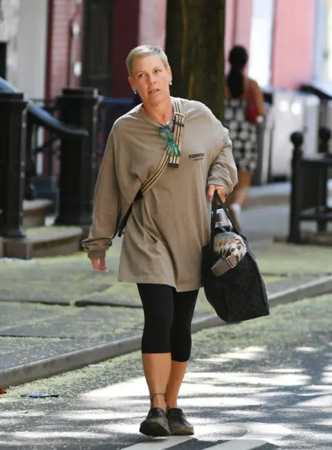 Pink is Spotted Stepping Out in New York 08-09-2025