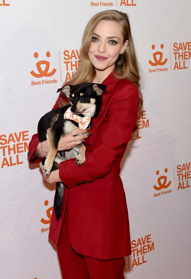 Amanda Seyfried – Attends Best Friends Animal Society’s Benefit to Save Them All in New York City 10-20-2025